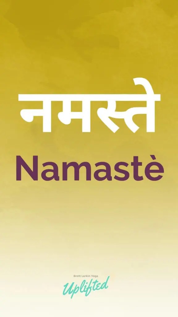 The Complete Glossary of Sanskrit Words Used in Yoga Brett Larkin Yoga