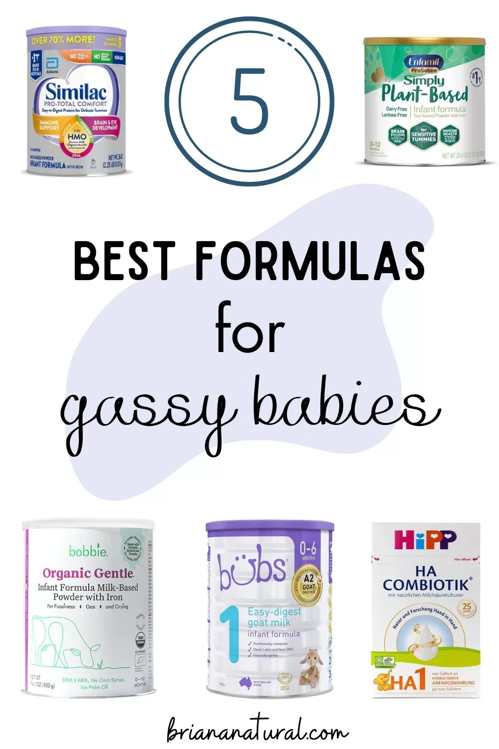 The 5 Best Formulas for Gassy Babies (2024) Briana Natural