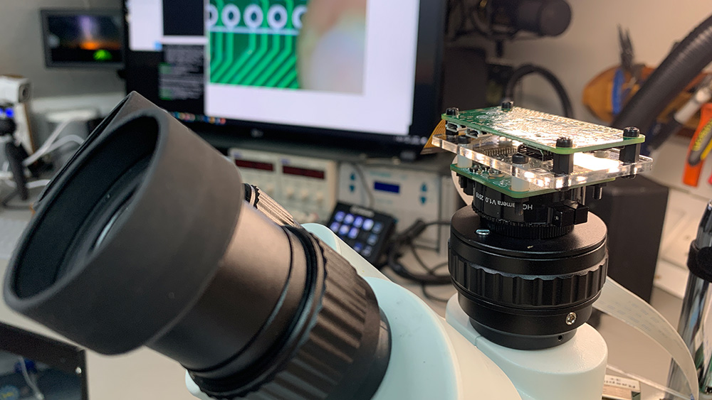 Raspberry Pi High Quality Camera on trinocular Microscope
