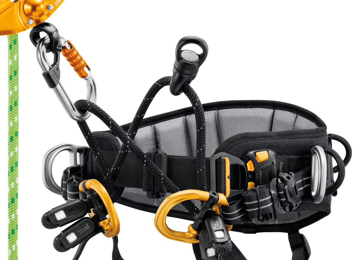PETZL Sequoia Arborist Climbing Harness UK Delivery