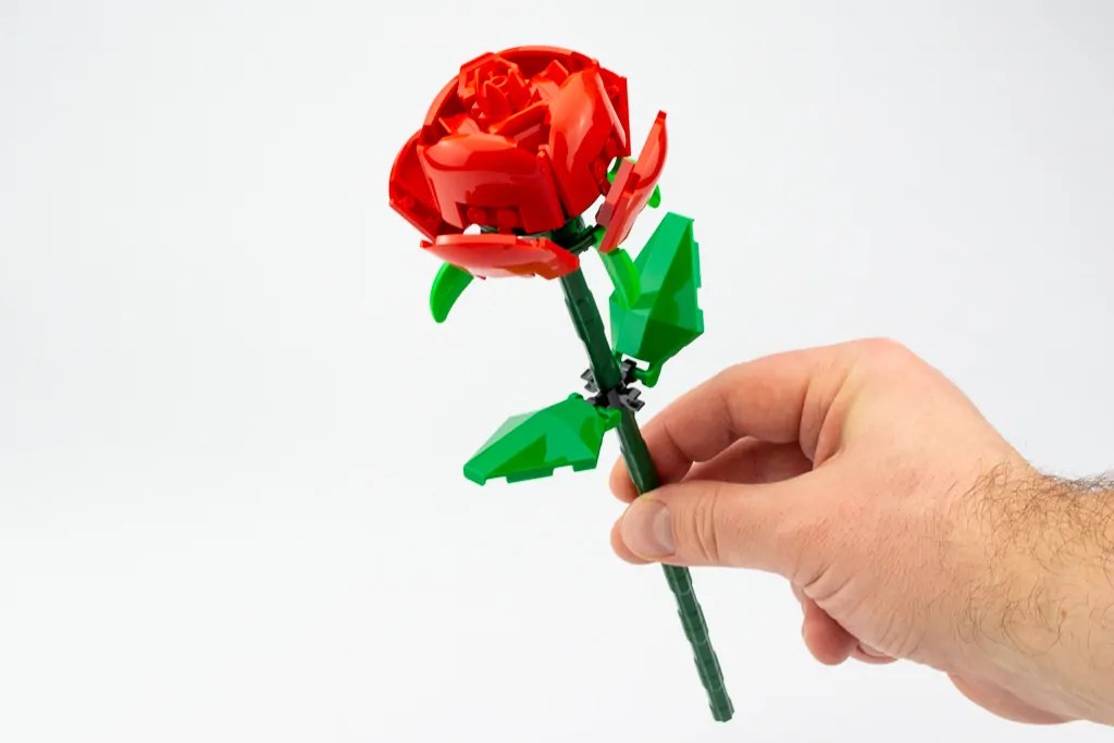 LEGO Iconic 40460 Roses review, photos and gallery