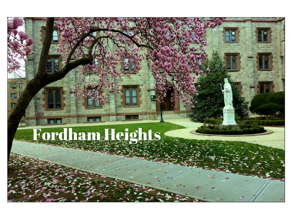 The 10 best NYC neighborhoods for college grads 2017 edition