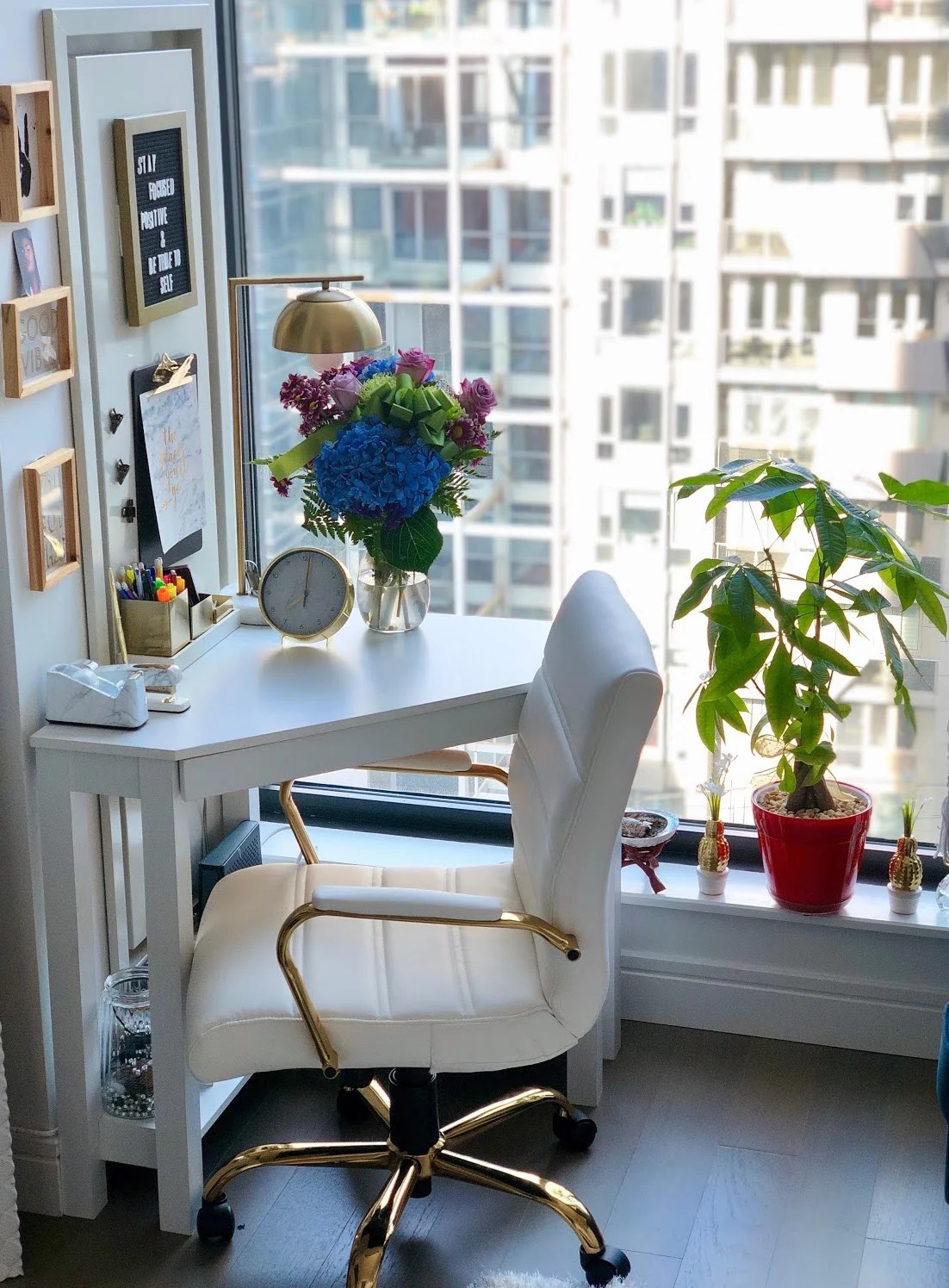 I won a 908 studio in Long Island City in NYC's housing lottery after