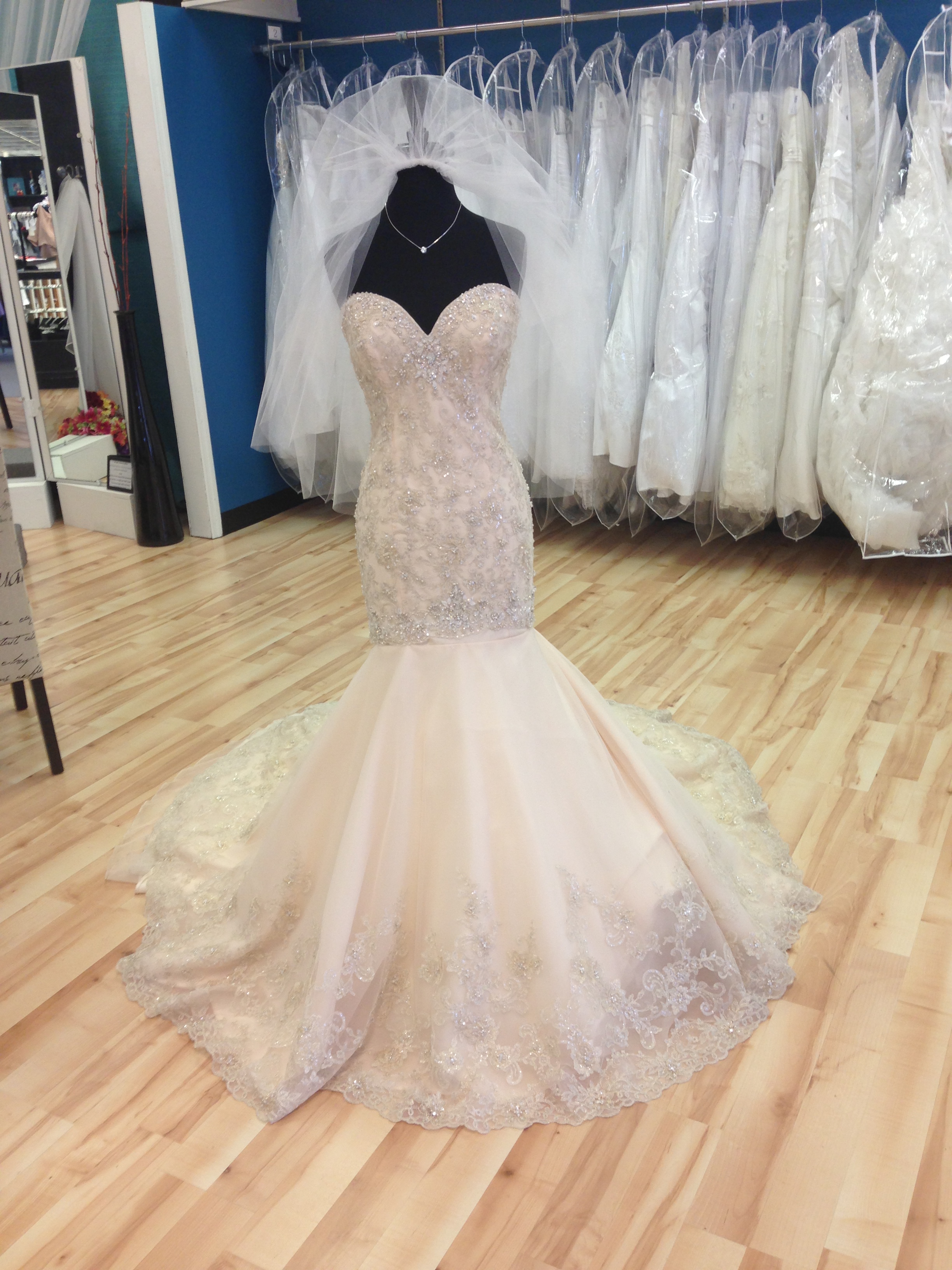 The Bridal Cottage Wedding Dresses, Bridesmaids, Tuxedos North