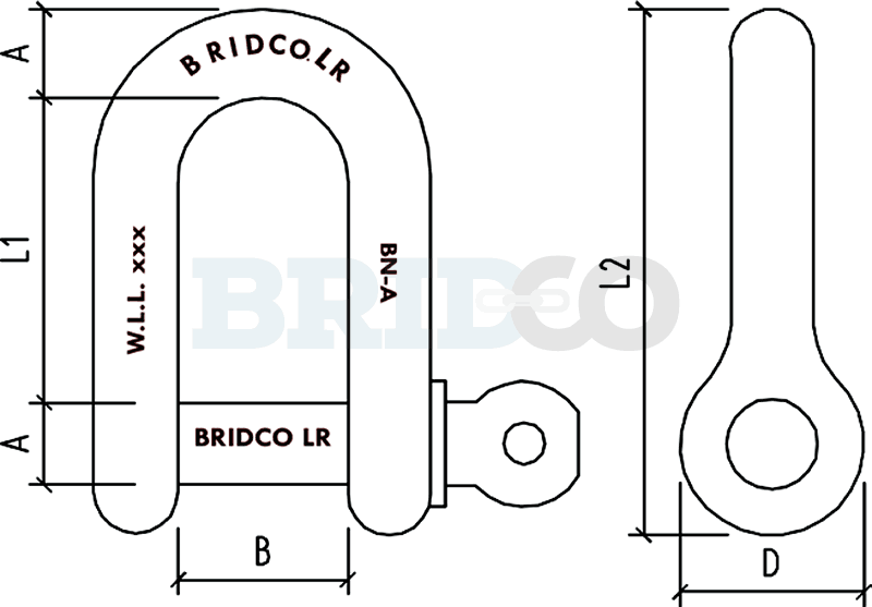 Stainless Steel Load Rated D Shackle Bridco