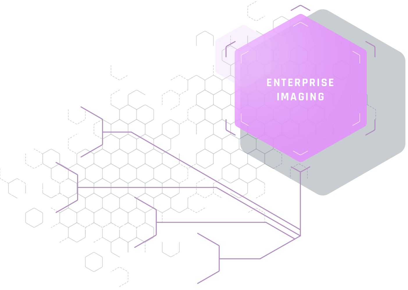 Enterprise Imaging BridgeHead Software