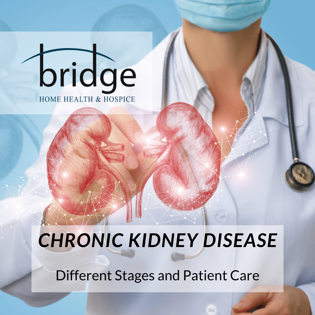 Chronic Kidney Disease, Different Stages and Patient Care Bridge Home