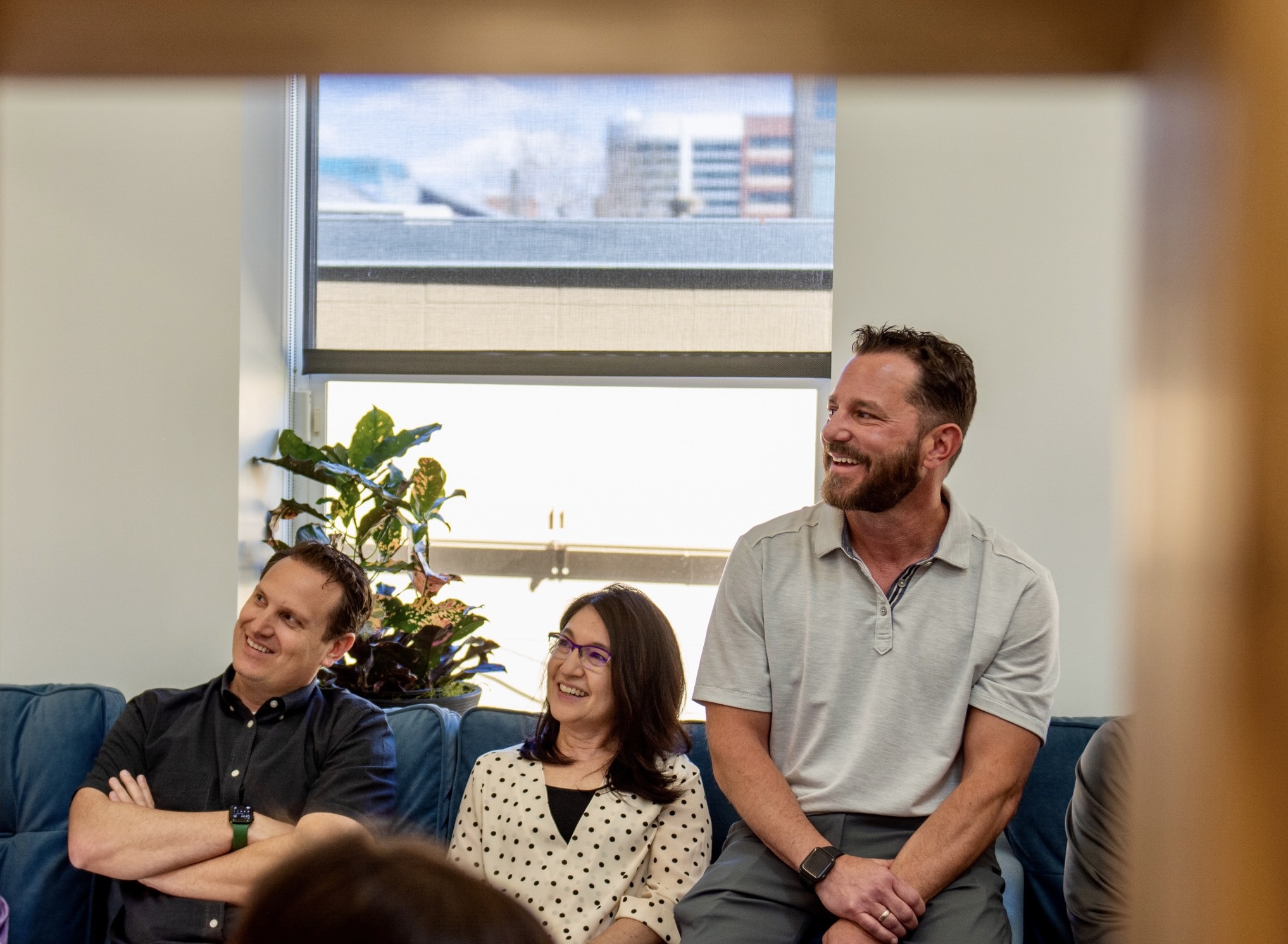 Technology Consulting BridgeView