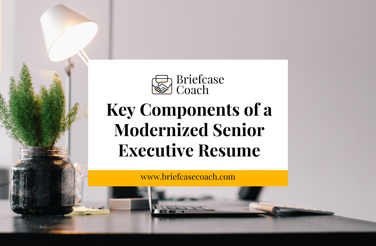 Key Components of a Modernized Senior Executive Resume Briefcase Coach