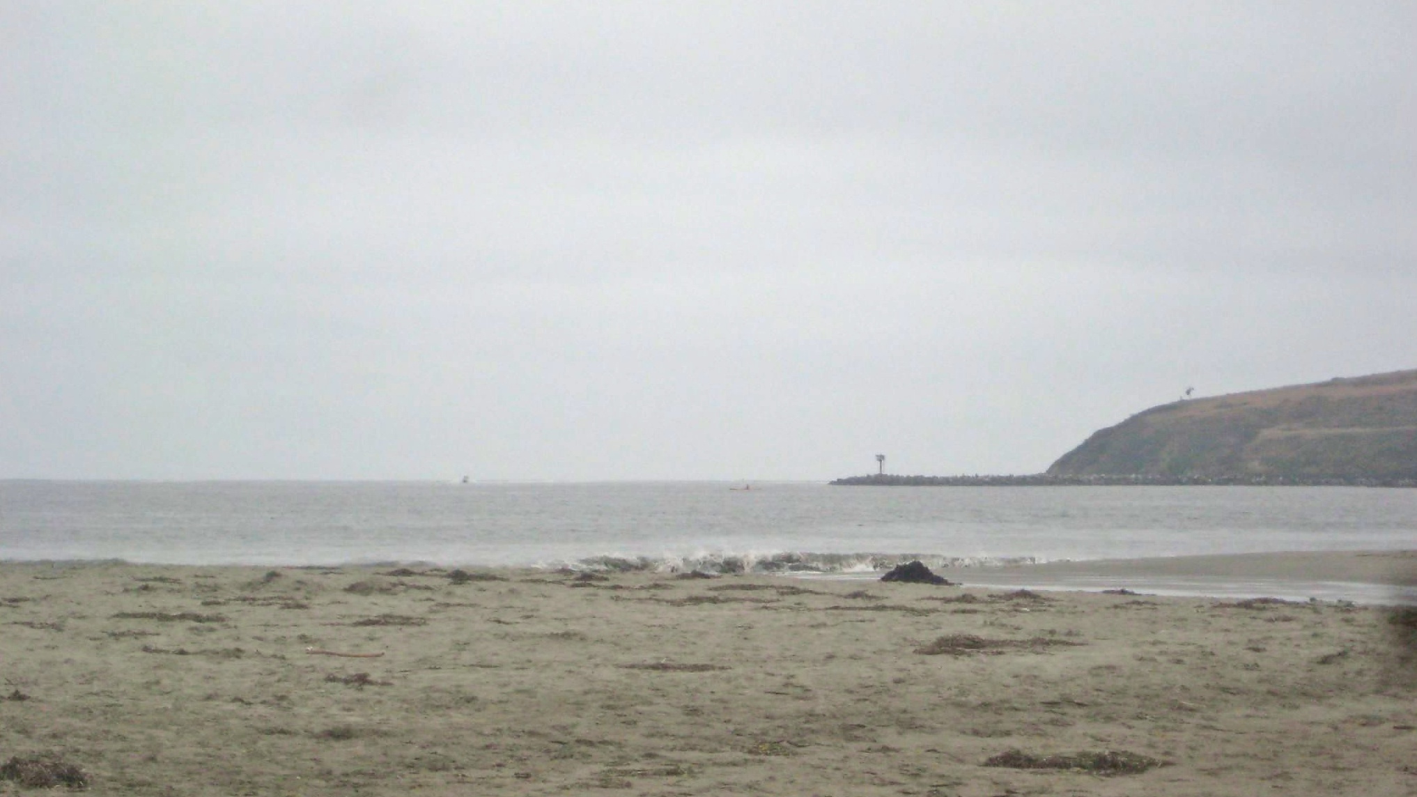 Bodega Bay Labor Day Picnic and Paddle notes