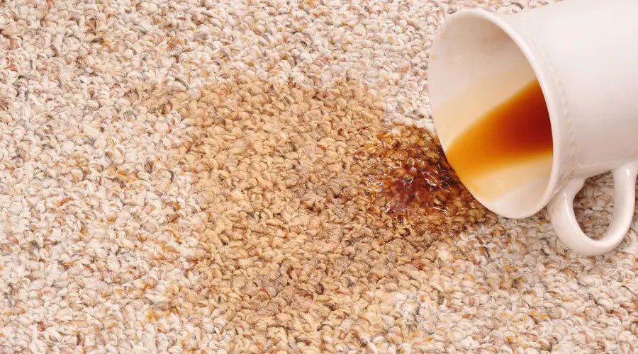 3 Steps To Clean Carpet Stains Brightex