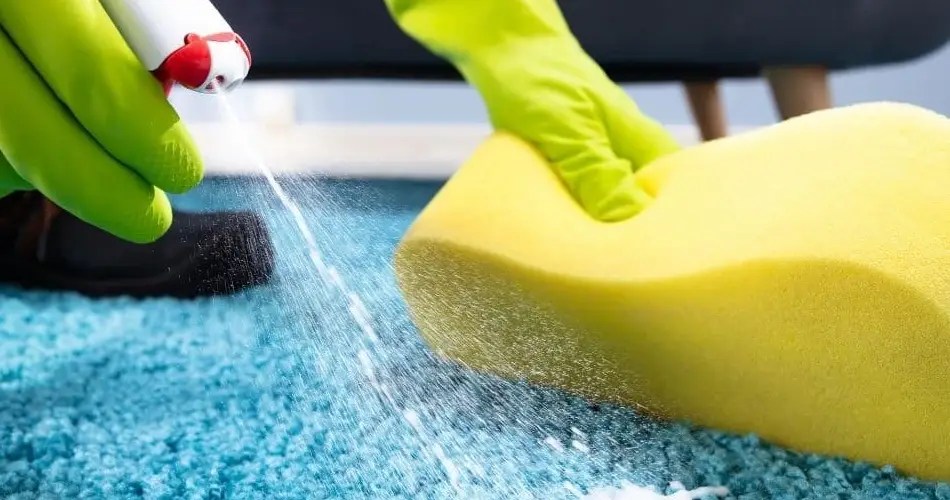 How To Clean Heavily Soiled Carpet Brightex