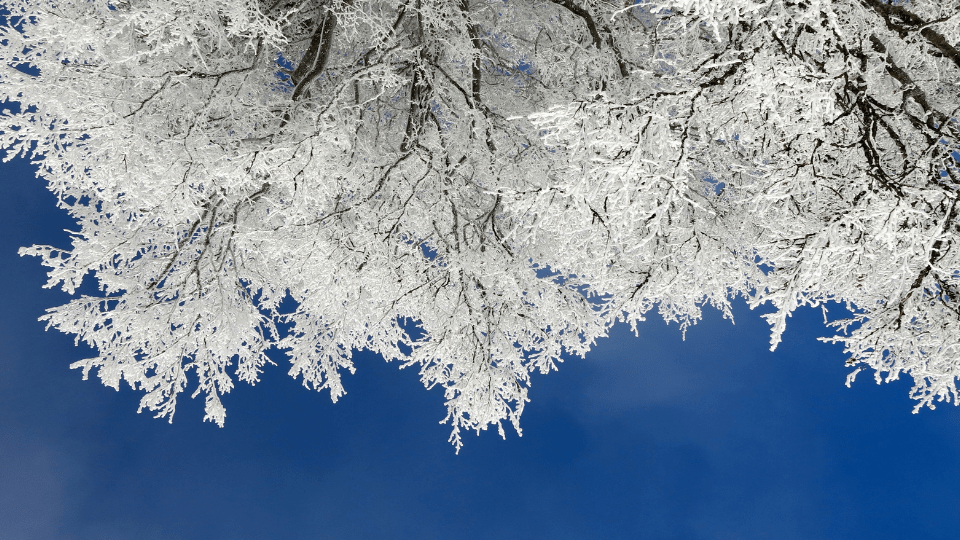 Watch This Man From Nigeria Experience Snow For The First Time BRIGHTFM