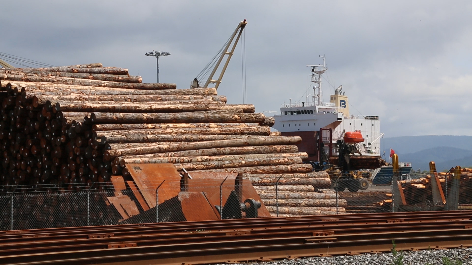 Press Images — Bright Green Lies