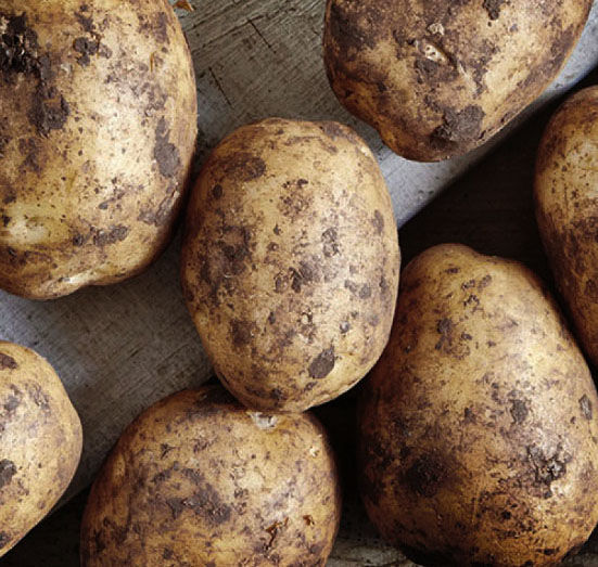 Freezerfree French fries fight food waste New technology makes food last months w/o a fridge