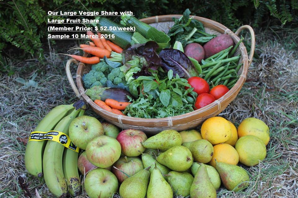 This Eco Farm in New Zealand is a thriving model of Community Supported