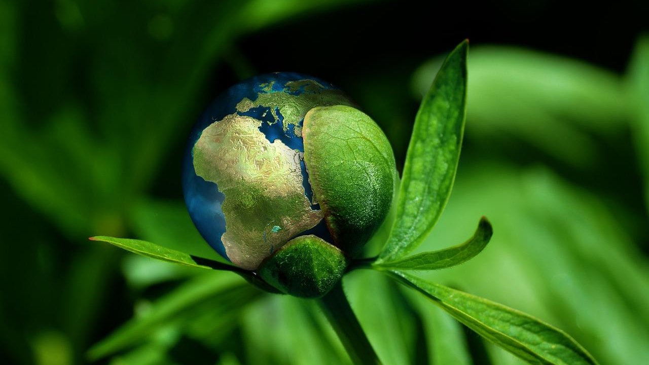 Top 10 most sustainable countries according to Yale BrightVibes