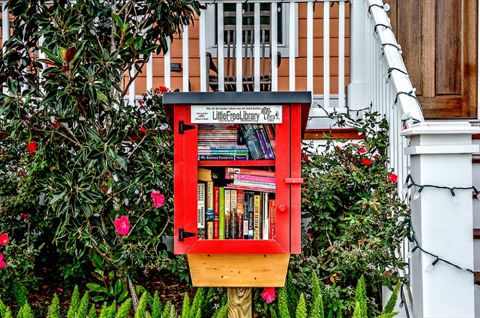 Little Free Libraries are making a BIG difference, spreading the joy of