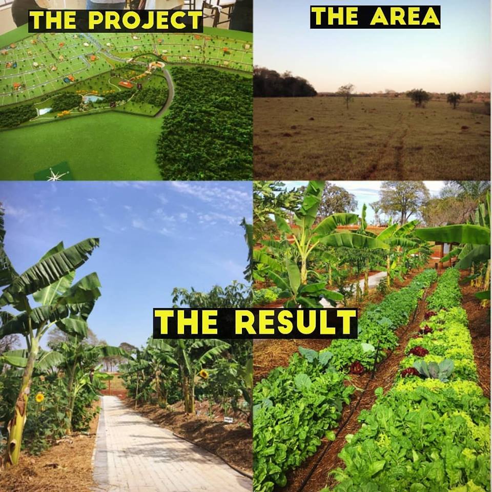 How one man transformed 500 hectares of degraded land in Brazil into a