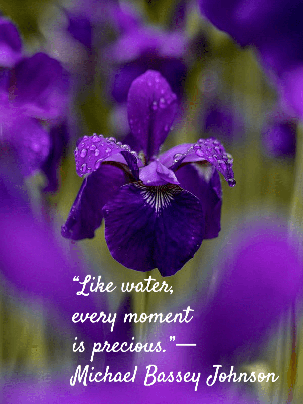 50 Best Water Drop Quotes (Save Water) BrilliantRead Media