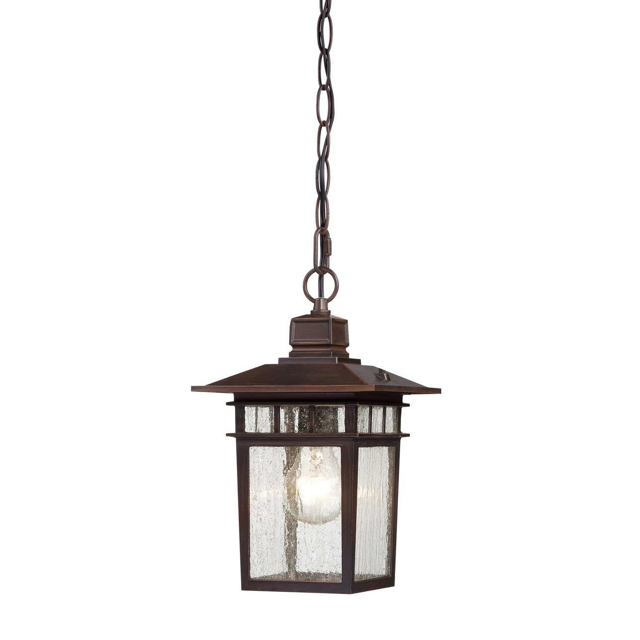 Nuvo Lighting Cove Neck 1 Light Outdoor Hanging Lantern in
