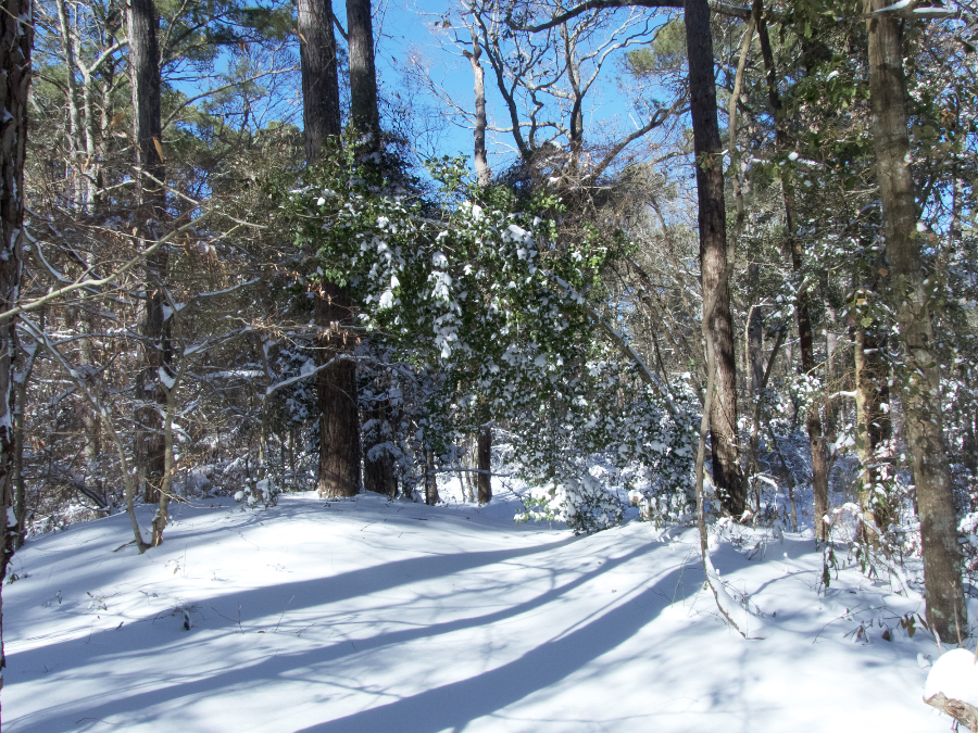 Hopes for Outer Banks White Christmas Fading Brindley Beach Vacations
