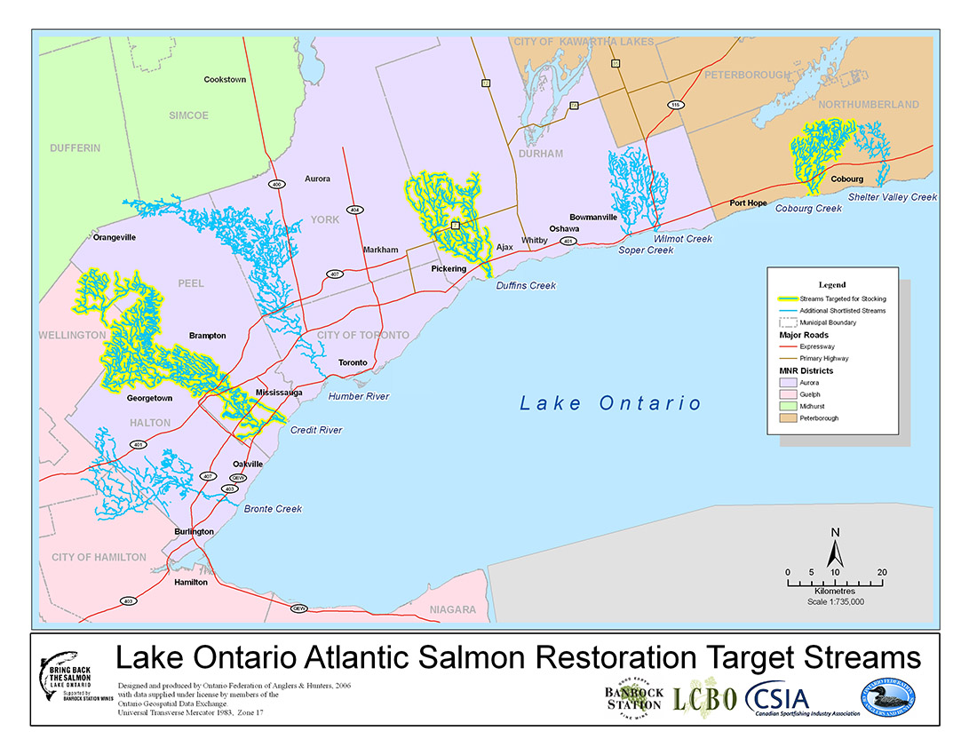 About the Program Lake Ontario Atlantic Salmon Restoration Program