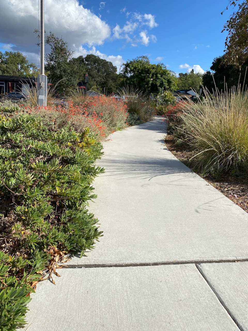 El Sobrante Library, 4191 Appian Way, El Sobrante ♿️ 4 « Bringing