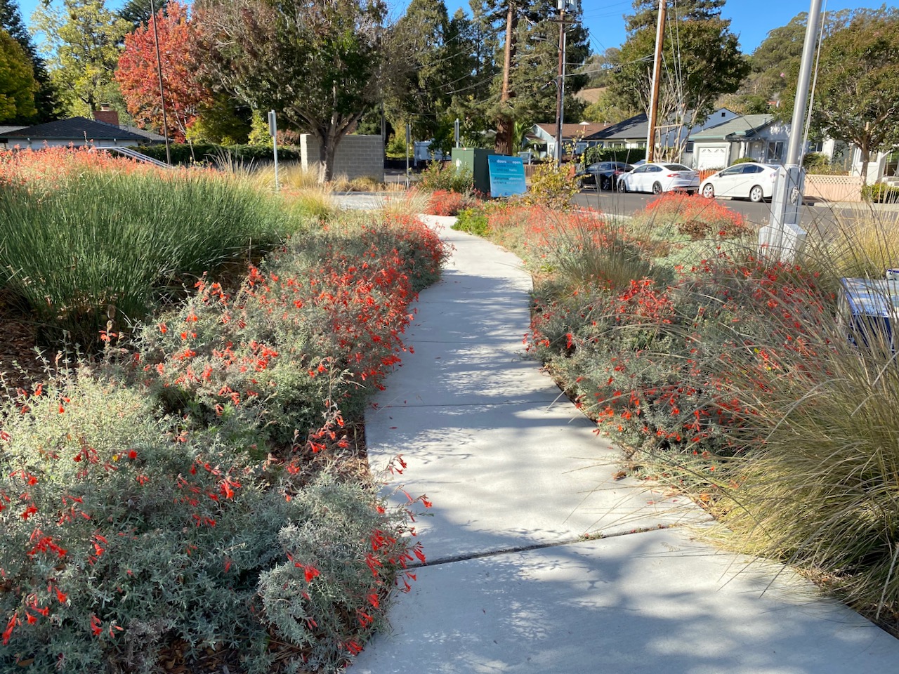 El Sobrante Library, 4191 Appian Way, El Sobrante ♿️ 4 « Bringing