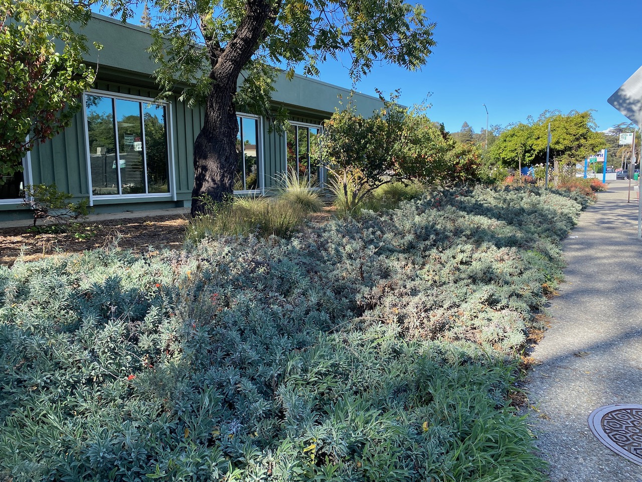 El Sobrante Library, 4191 Appian Way, El Sobrante ♿️ 4 « Bringing