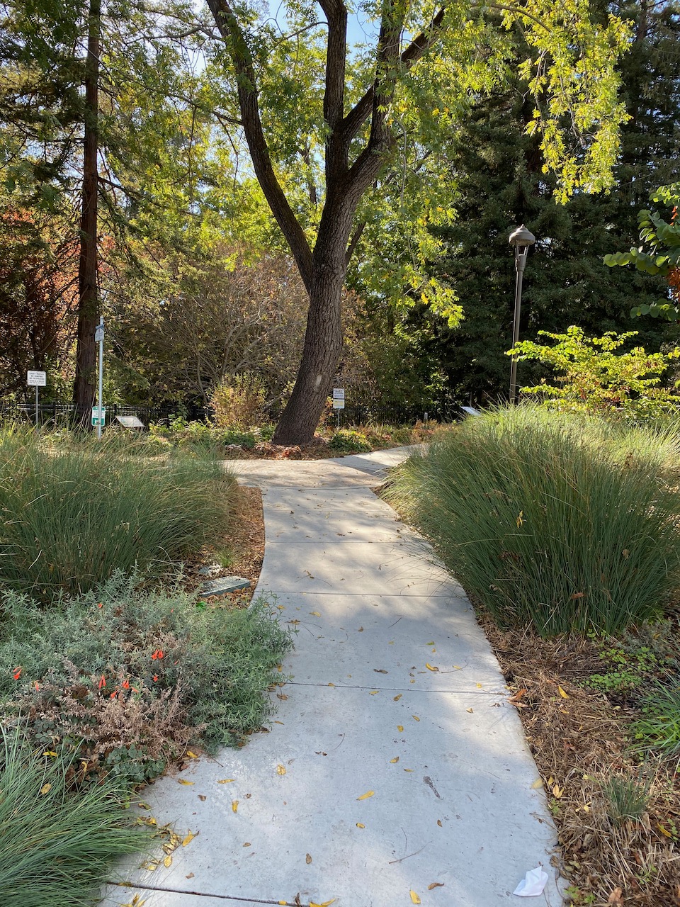 El Sobrante Library, 4191 Appian Way, El Sobrante ♿️ 4 « Bringing