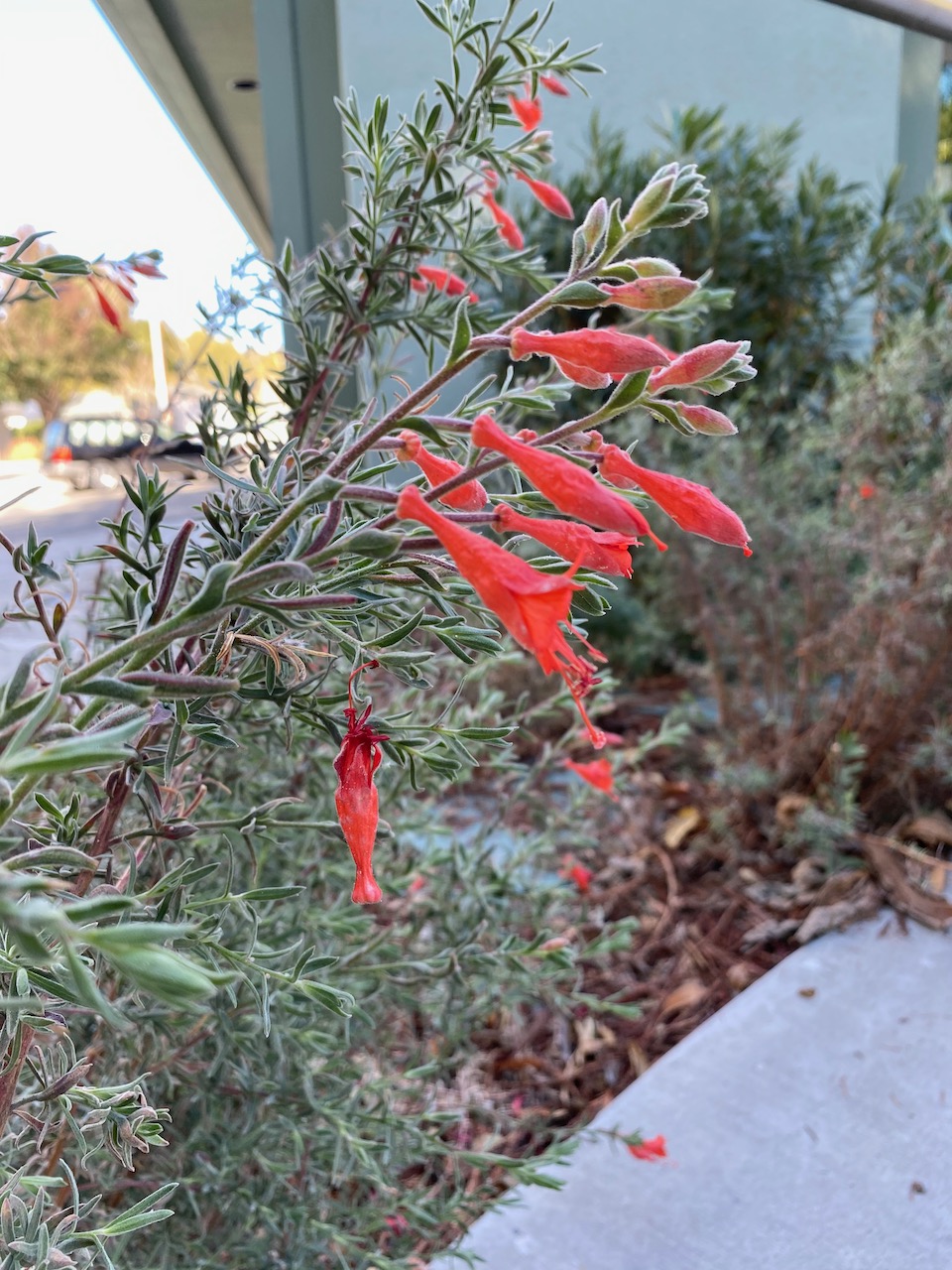 El Sobrante Library, 4191 Appian Way, El Sobrante ♿️ 4 « Bringing