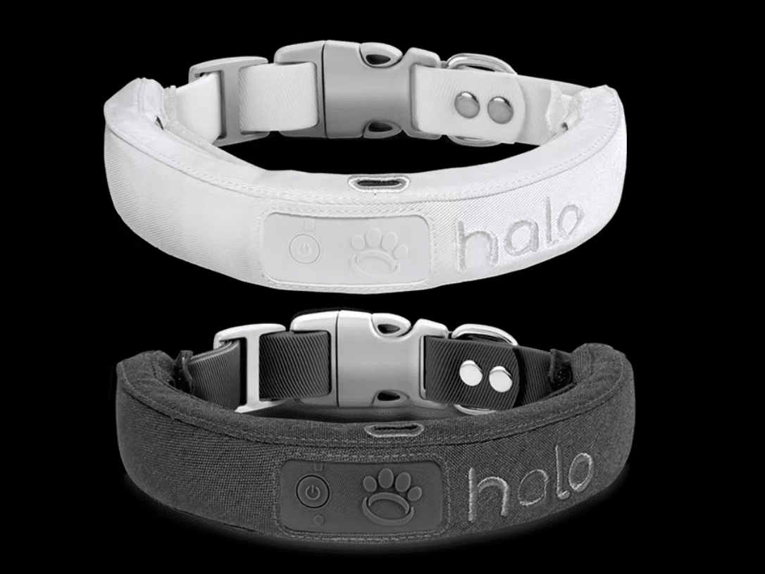 Halo Collar Review 2023 Pricing, Features With Pros and Cons