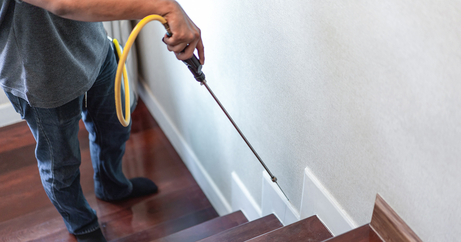 Are Landlords Responsible for Pest Control?