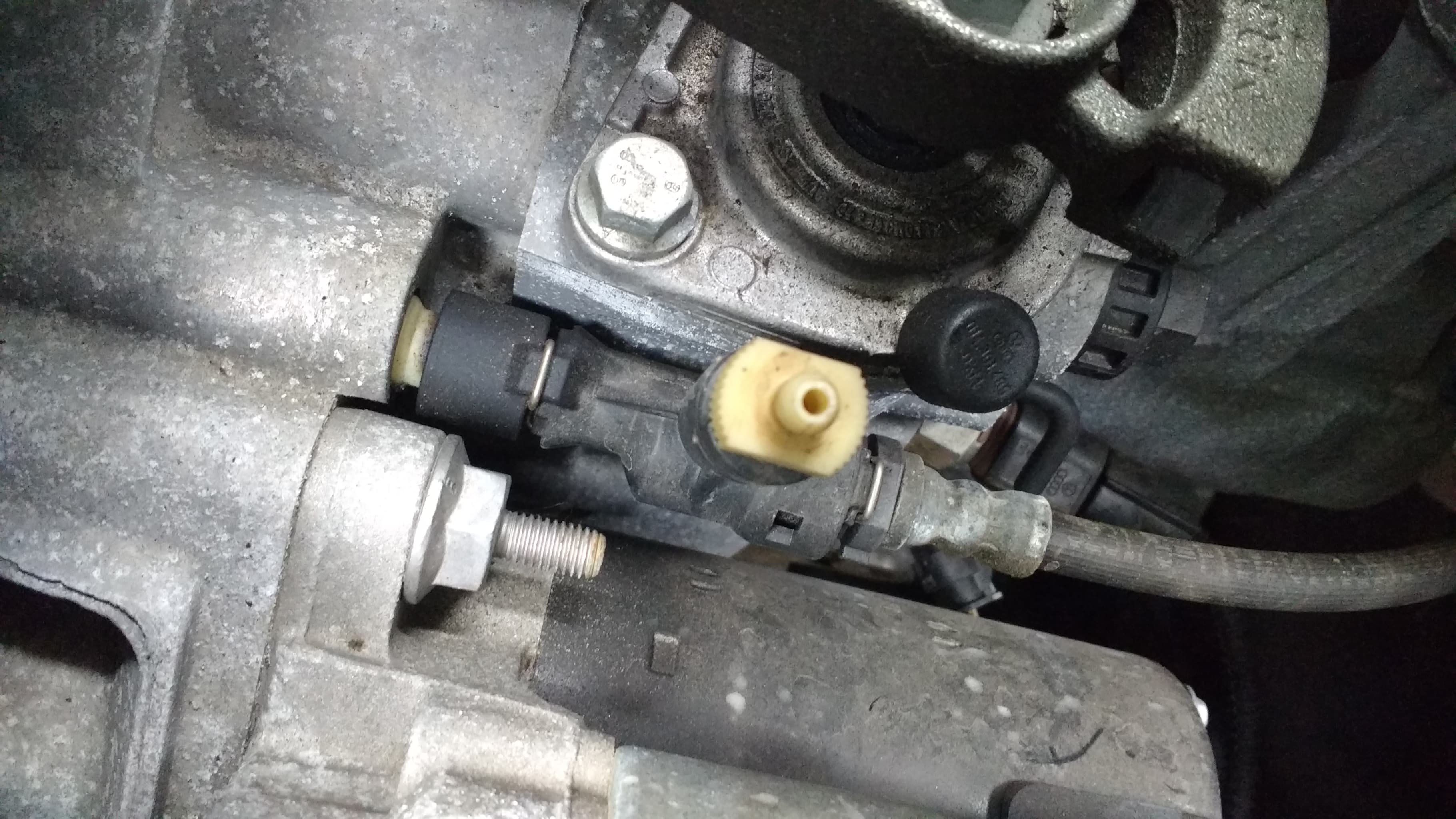 Clutch bleed nipple General Maintenance BRISKODA