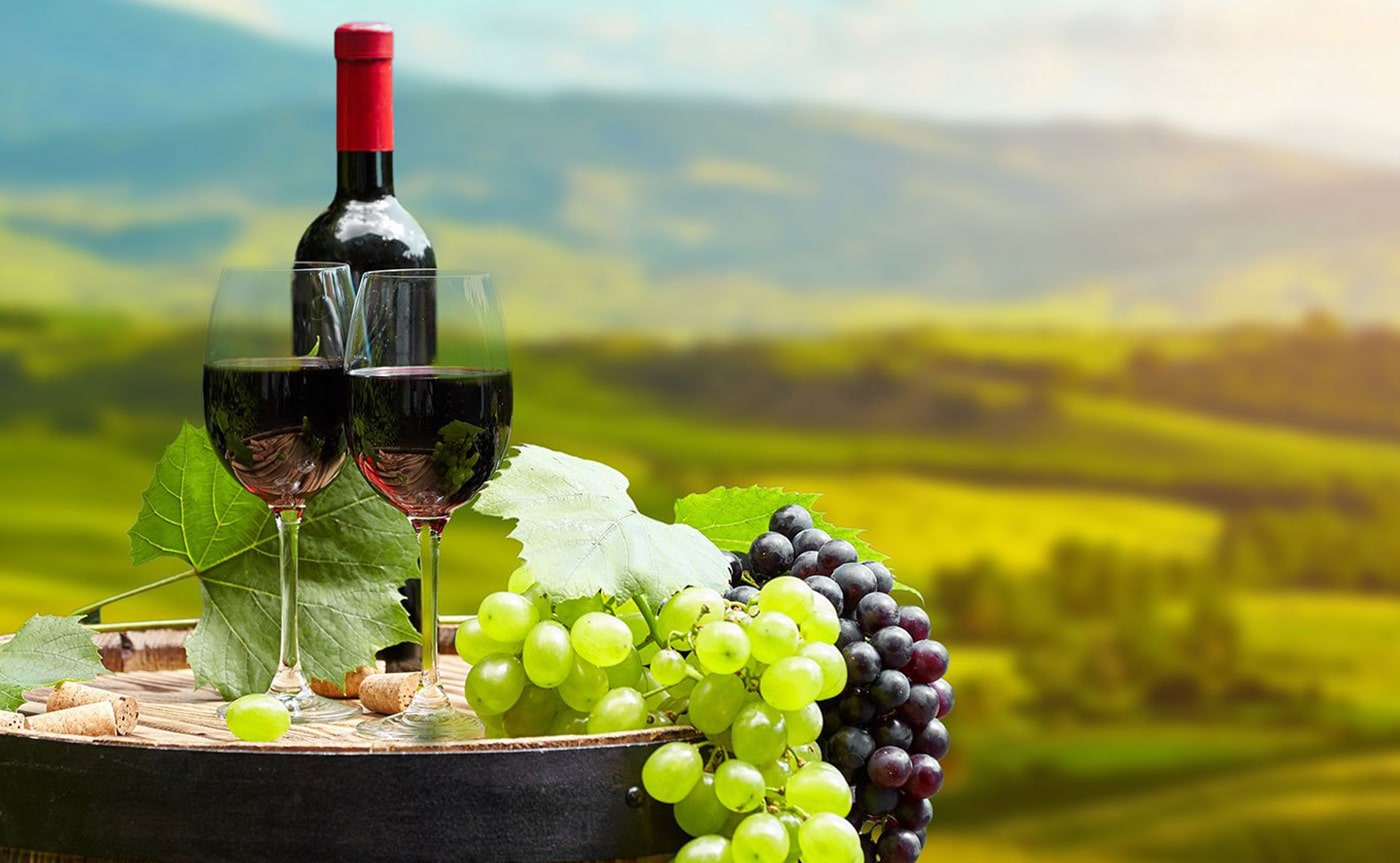 Wine Tasting Event Association of British Expats in Italy