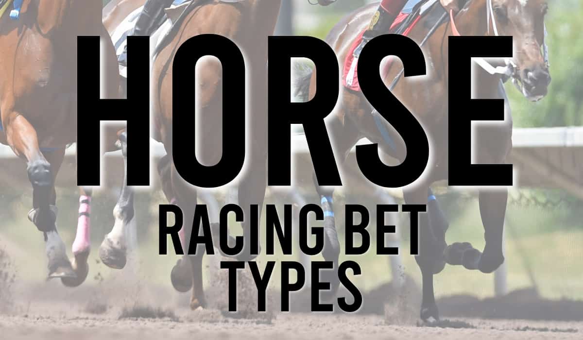Horse Racing Bet Types A Guide to All Bet Types August 2024