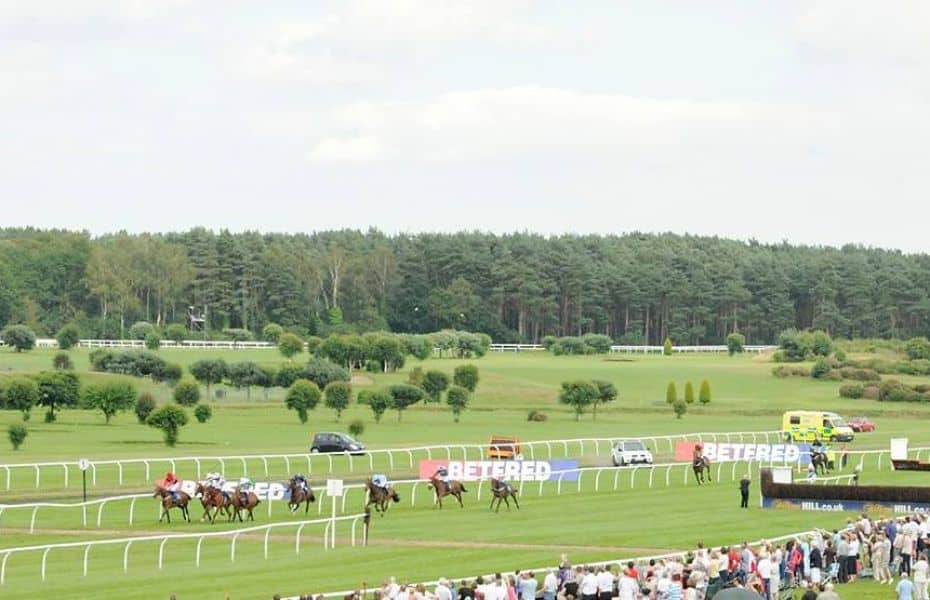 Market Rasen Racecourse Guide Guide, Fixtures, Betting & Tips 2024