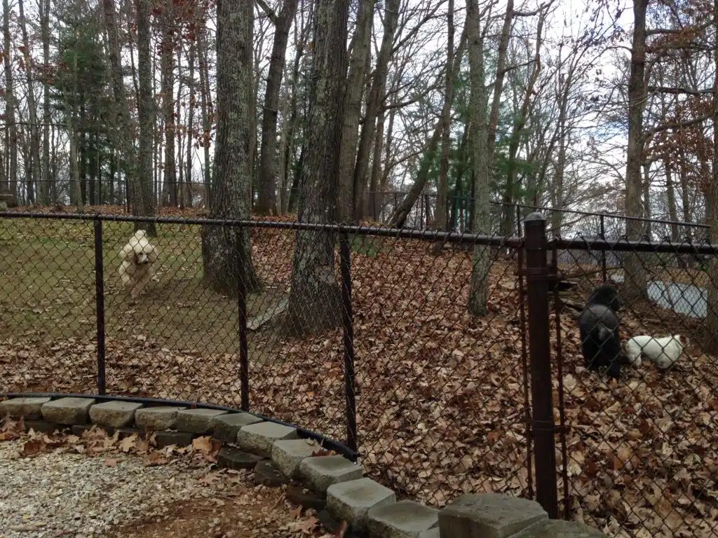 Brown Vinyl Chain Link Fence British Standard Fence