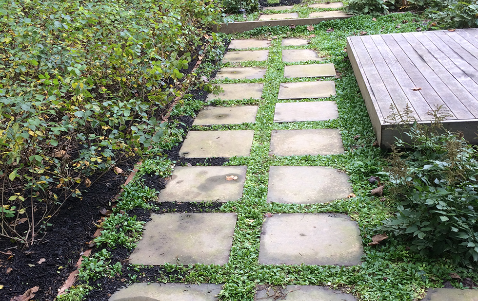 Home Broadleaf Nurseries