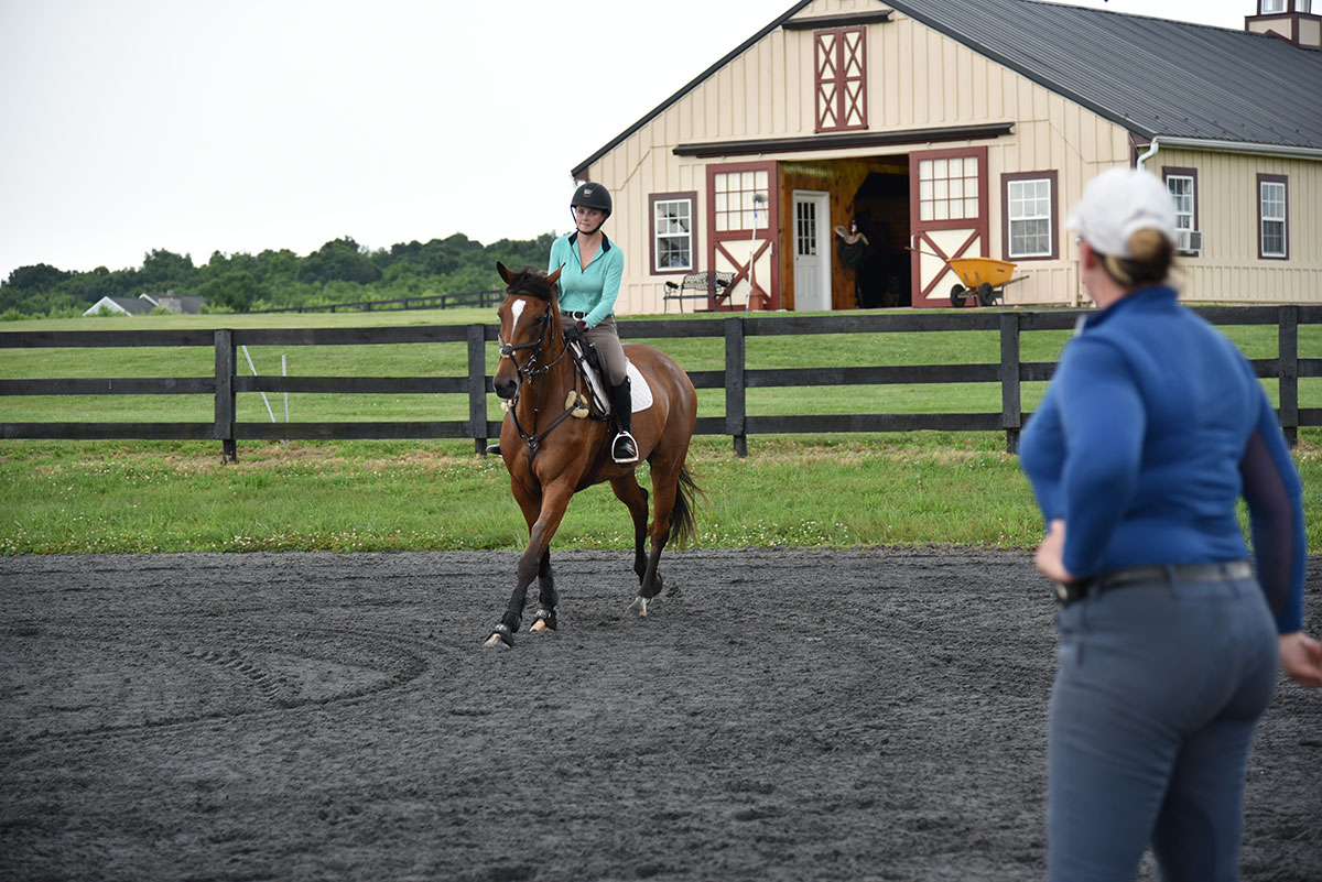 Broad Shadow Farms Services