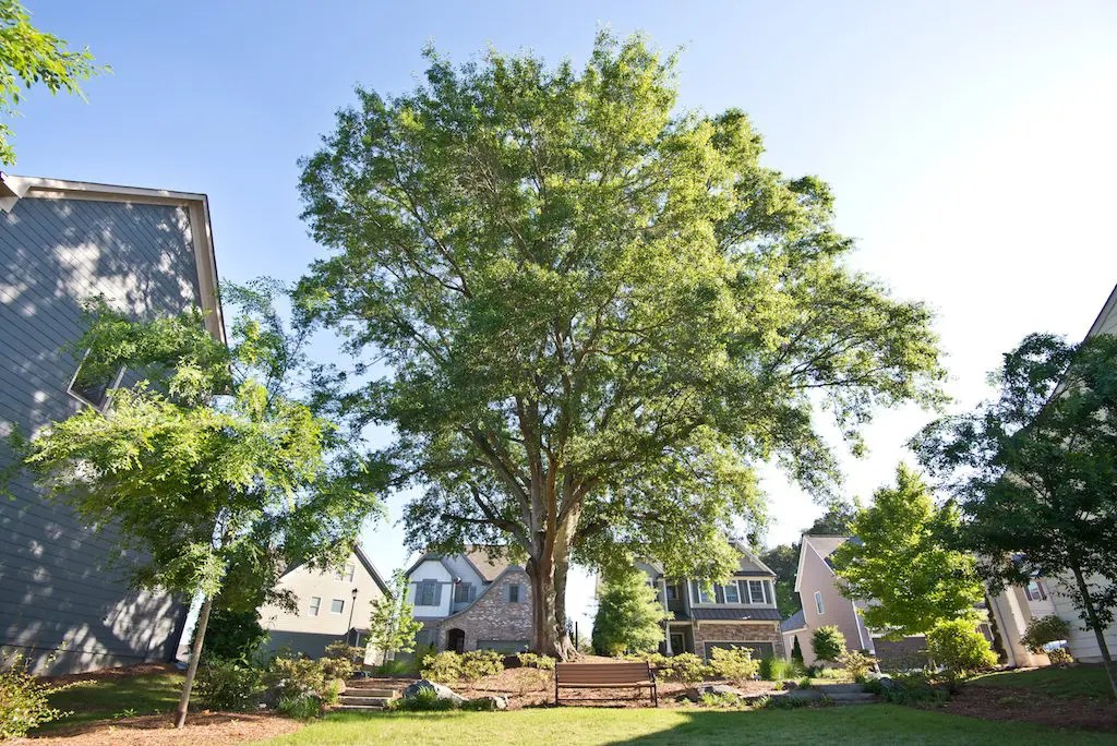 Explore Our Oakhurst Quick MoveIn Homes Brock Built