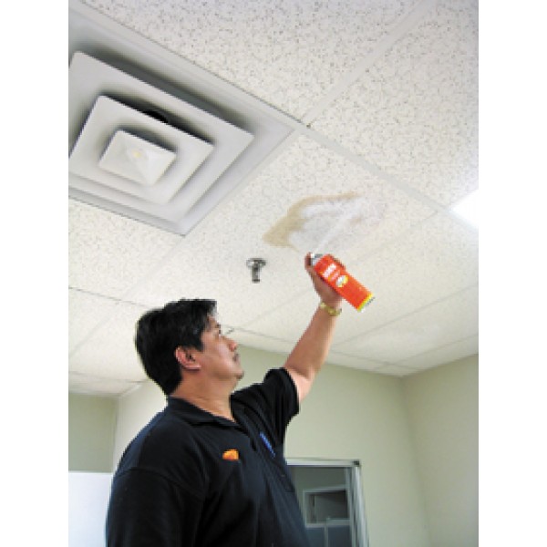 How To Paint Ceiling Tiles In Place Shelly Lighting