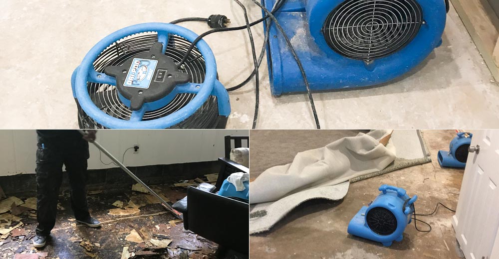 Water Damage Restoration Carpet Cleaning Bronx