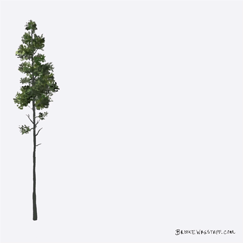 Great Animation Exercise 22 A tree falling