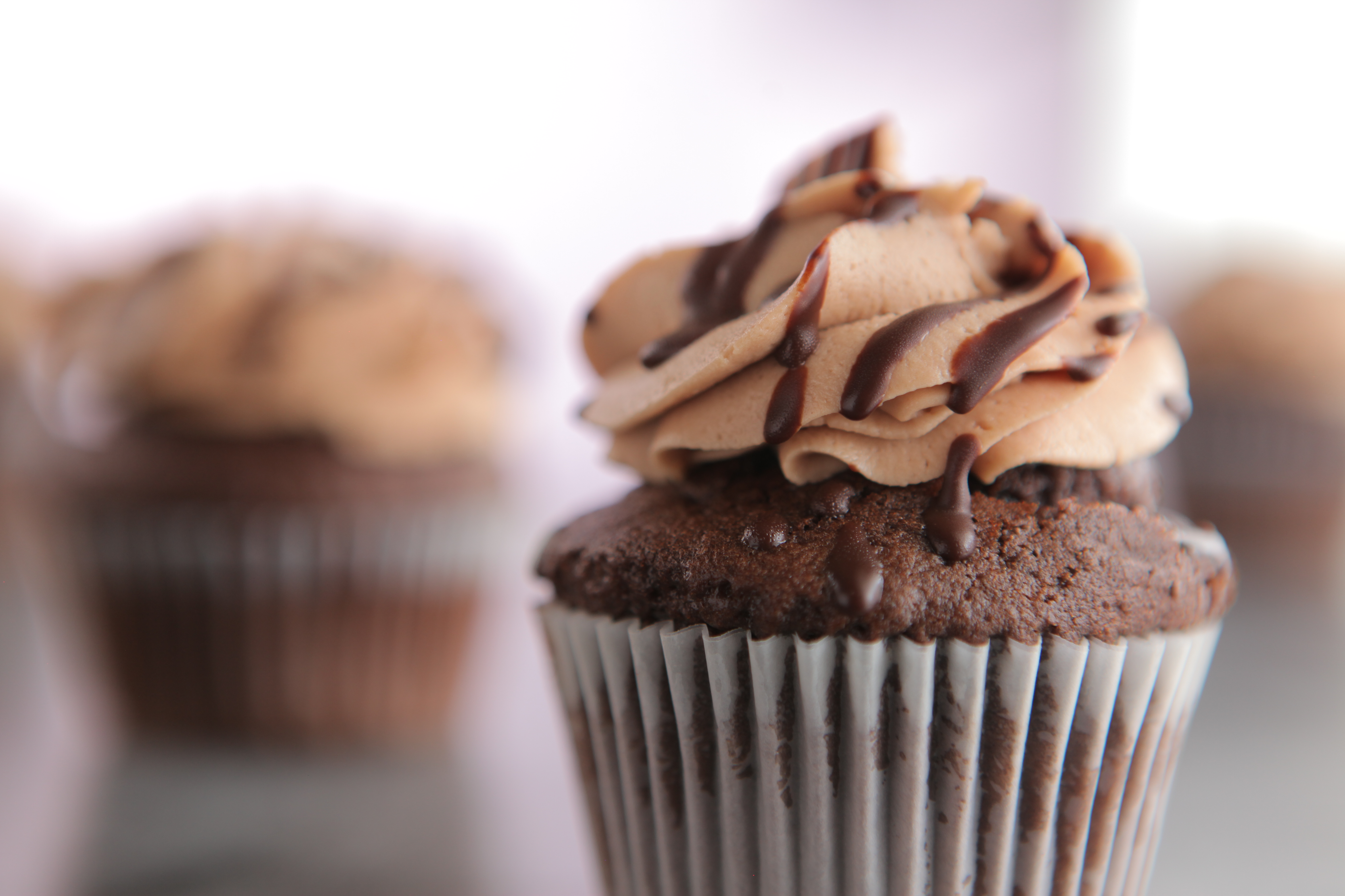 Cupcakes Brooklyn's Best Cupcake