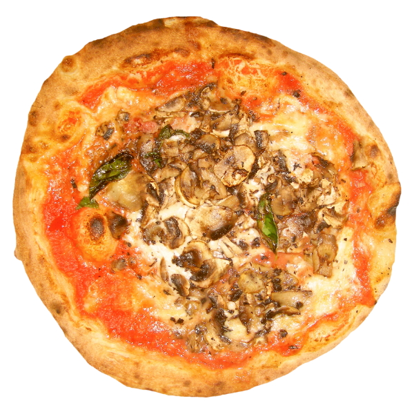 Wood Fire Pizzas New brook n pines kasauli