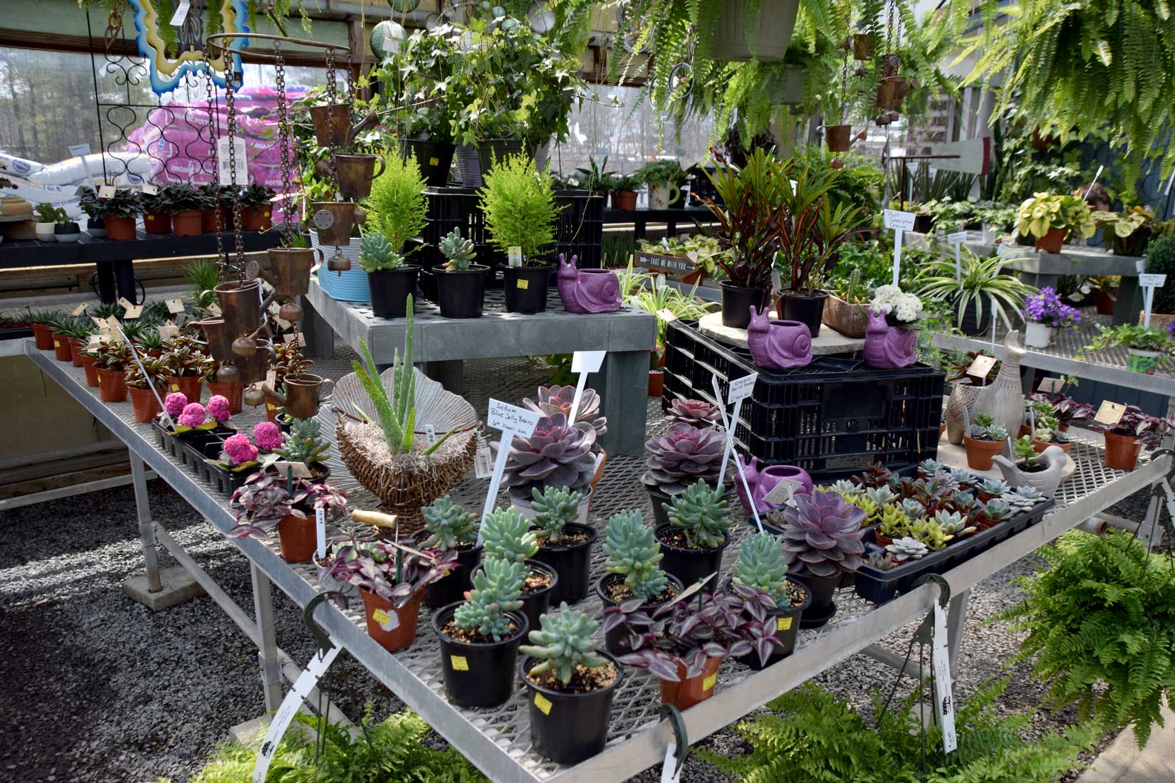 Brookside Nursery Ballston Spa, New York 12020 Creating Places of