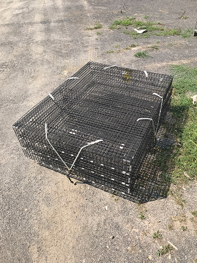 3Rack Stackable Oyster Cage Brooks Trap Mill