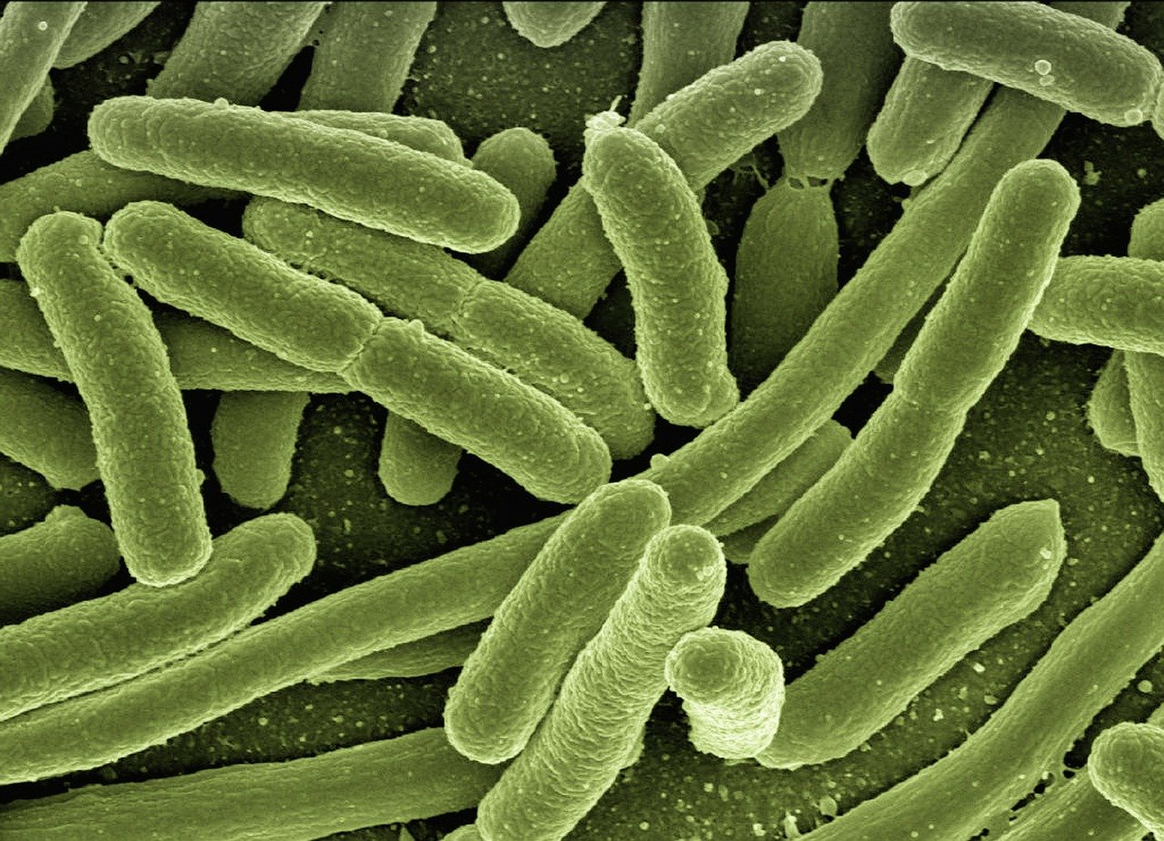 How to prevent Legionella growth Brooktech Maintenance Ltd
